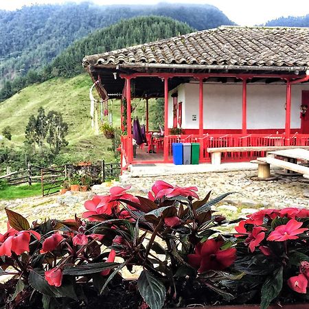 Hostal La Laguna Villamaría Exteriör bild